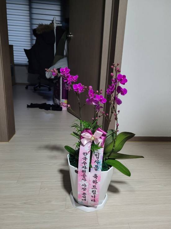 업로드 이미지