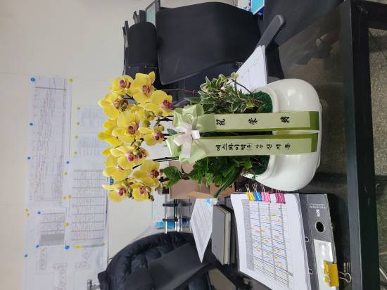 업로드 이미지