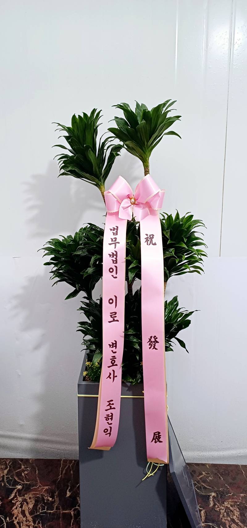 업로드 이미지