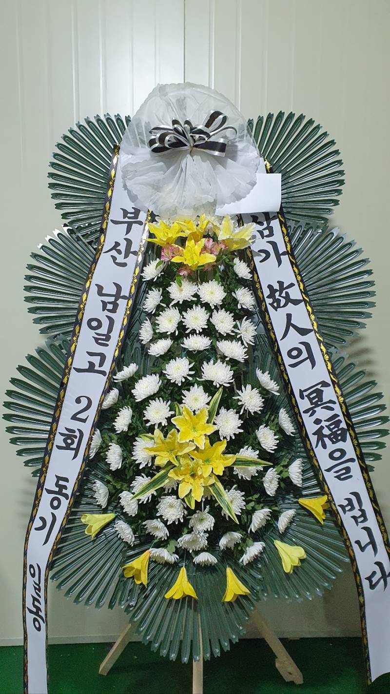 업로드 이미지
