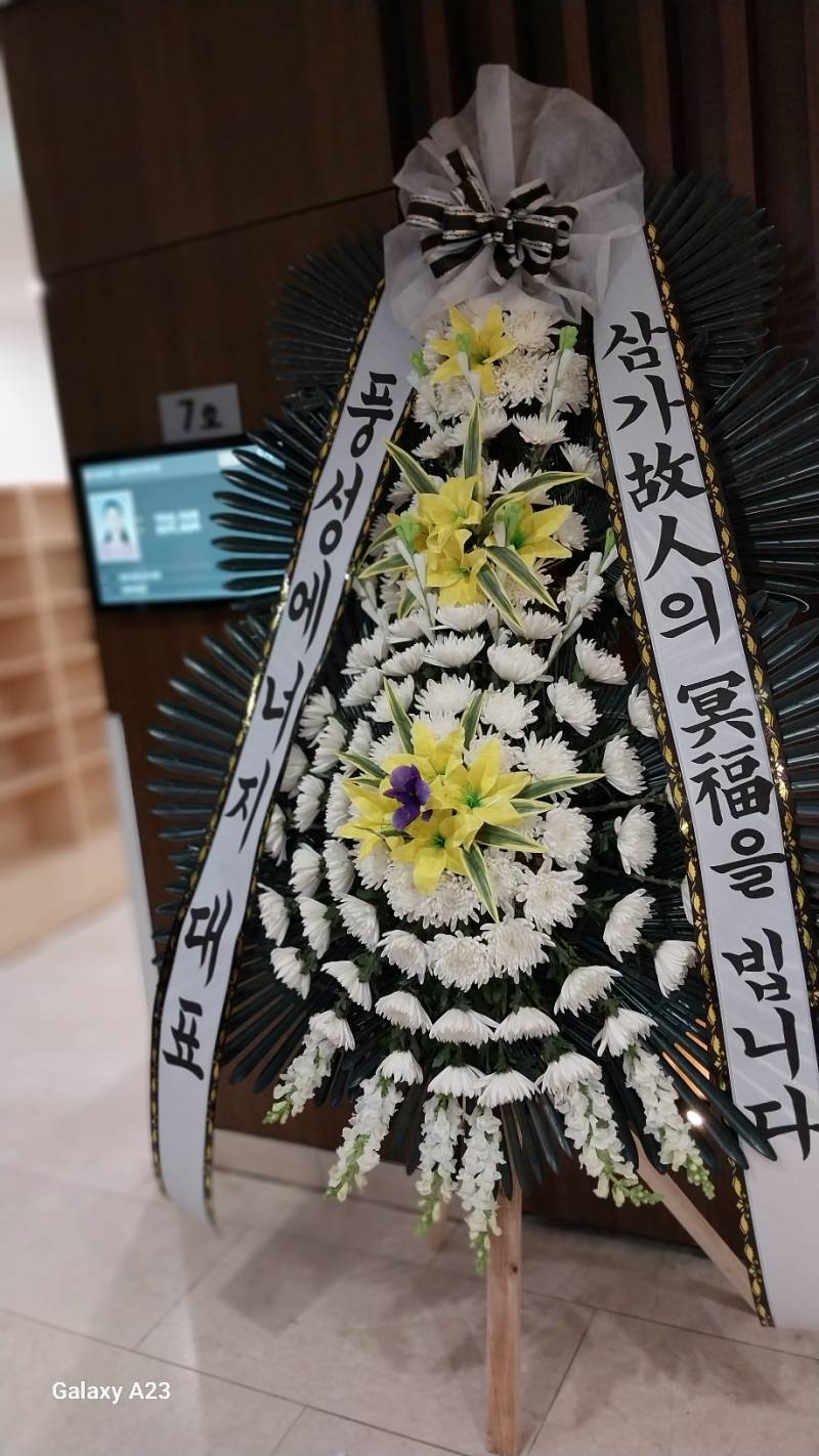 업로드 이미지