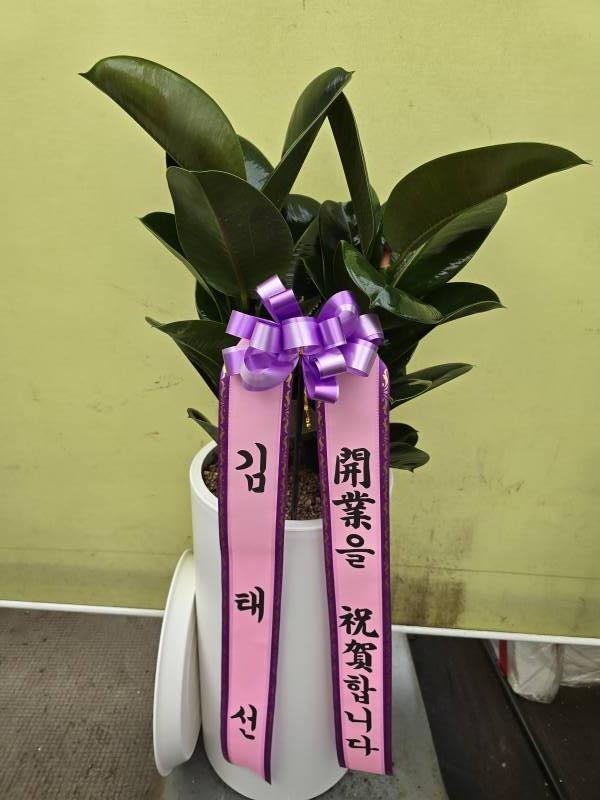업로드 이미지