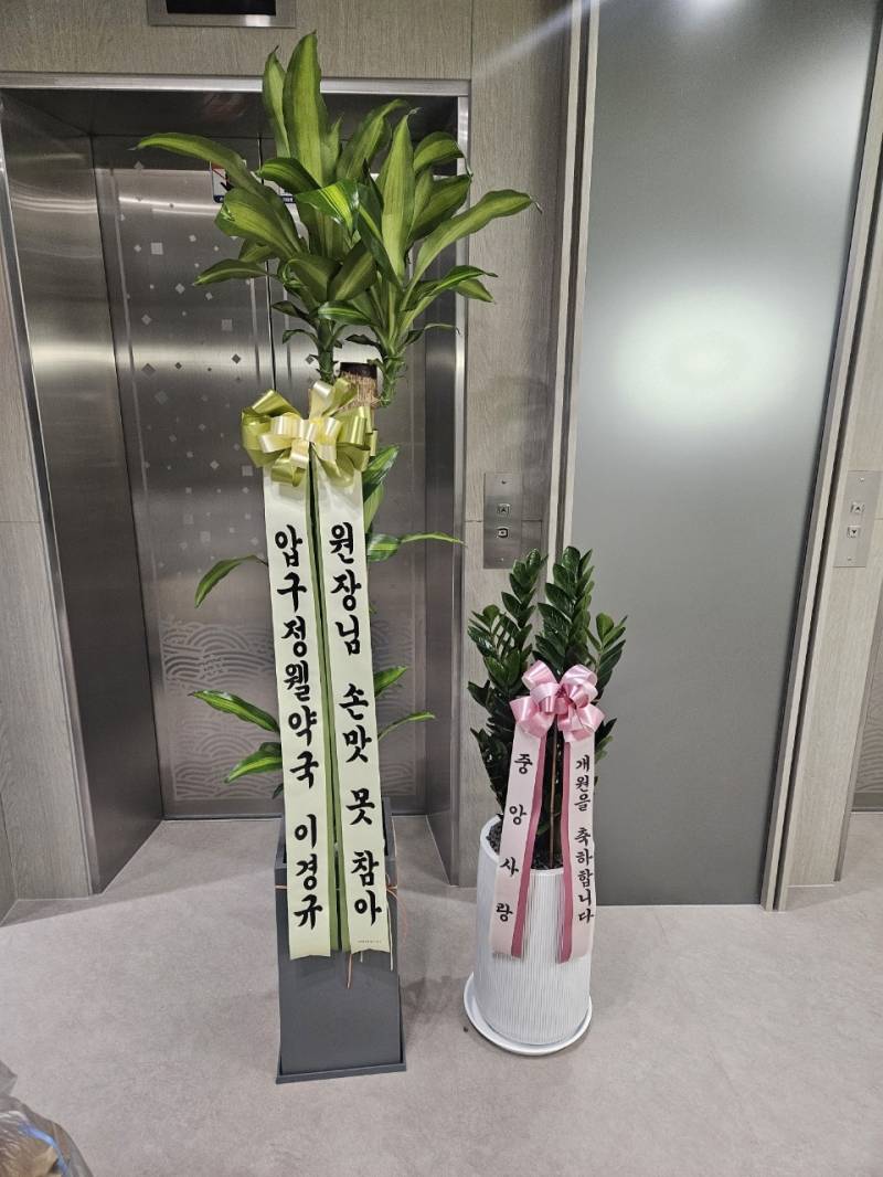 업로드 이미지