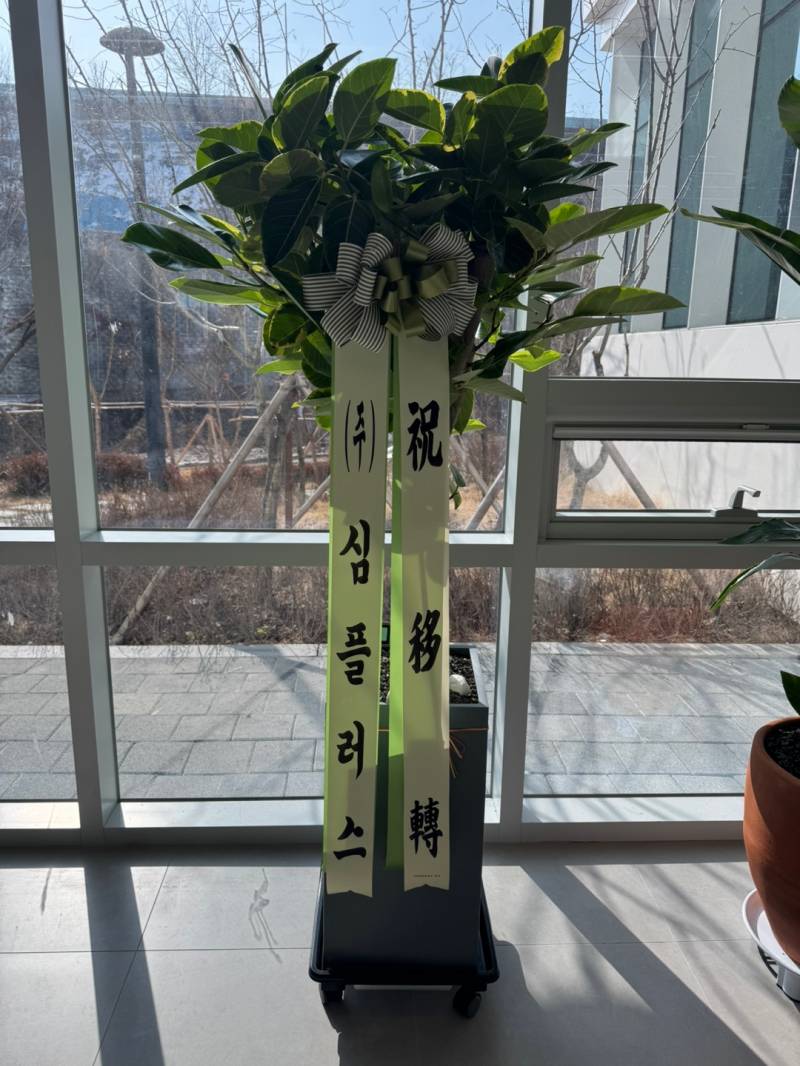 업로드 이미지