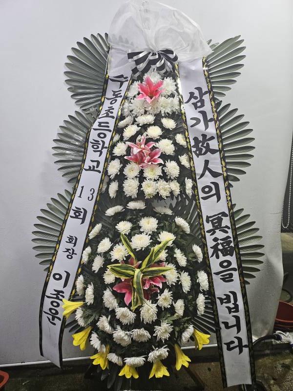 업로드 이미지