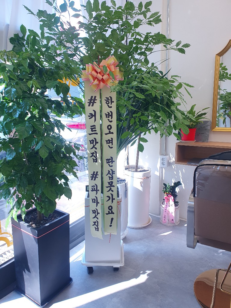 업로드 이미지