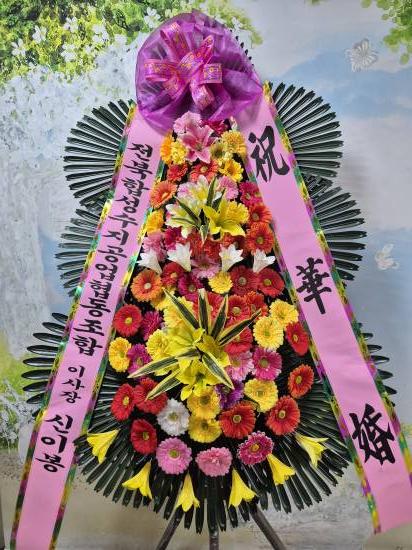 업로드 이미지