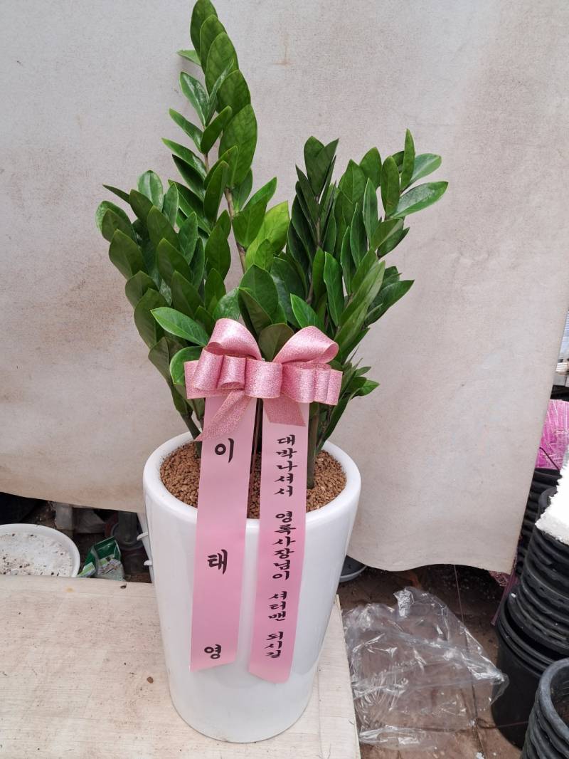 업로드 이미지