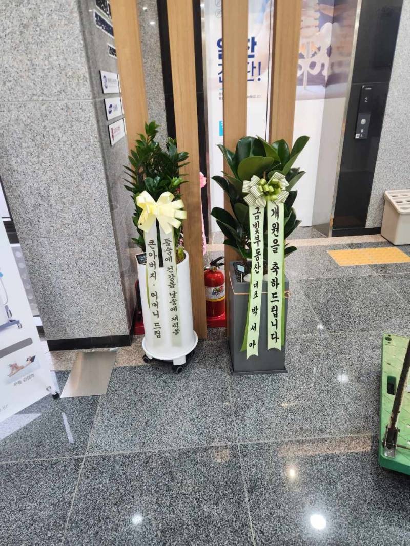 업로드 이미지