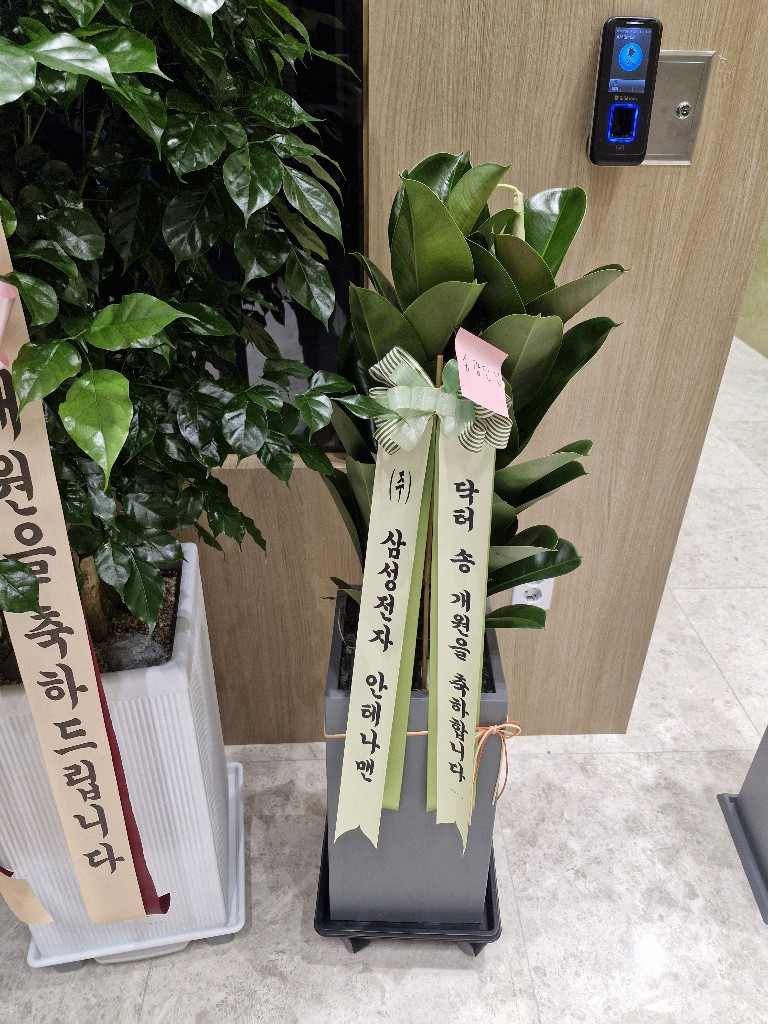 업로드 이미지