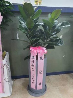 배송사진