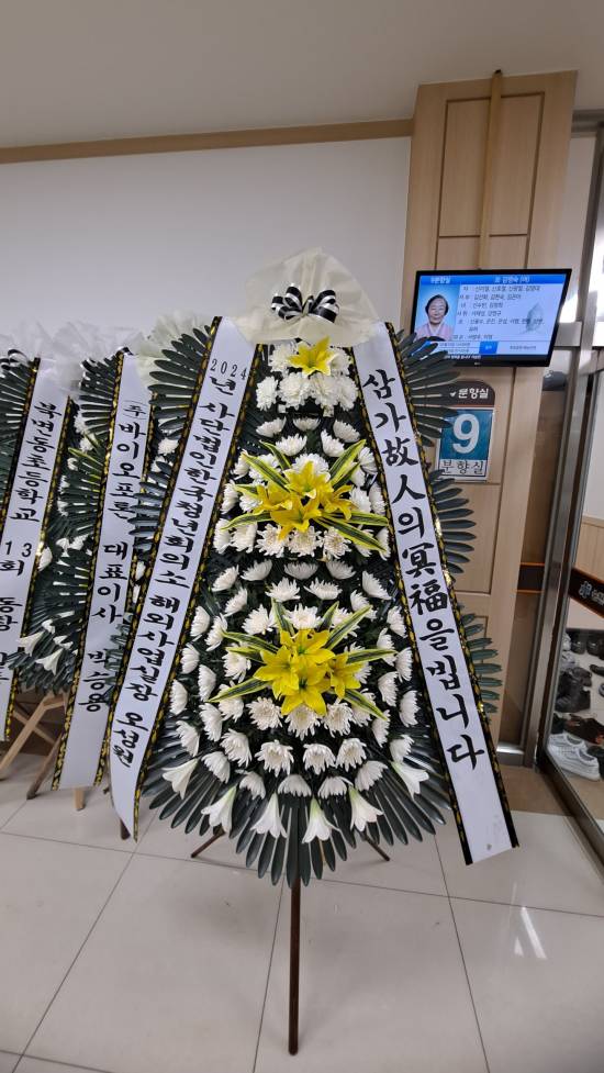 업로드 이미지