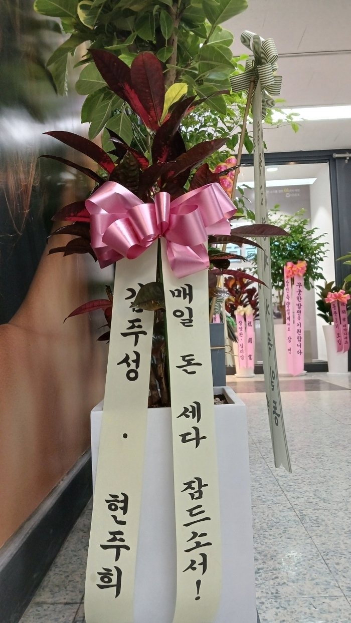 업로드 이미지