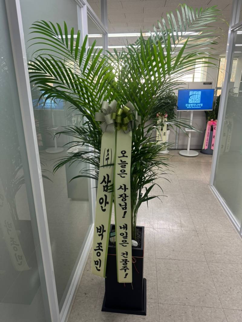 업로드 이미지