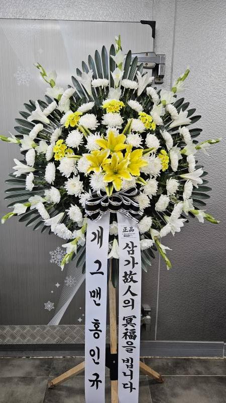 업로드 이미지