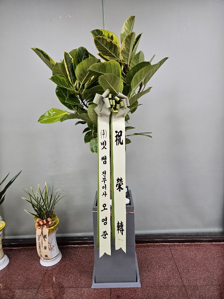 업로드 이미지