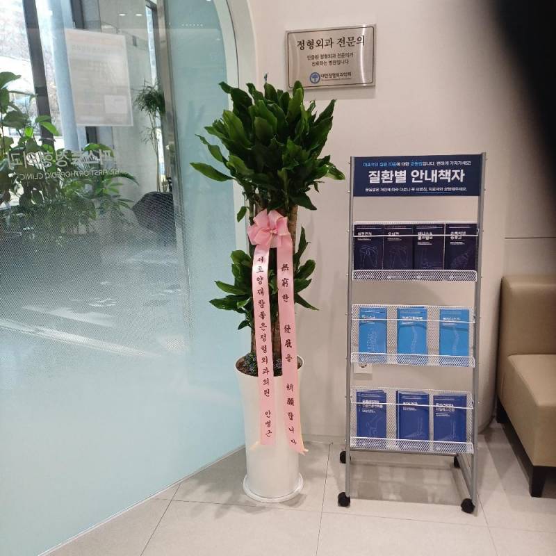 업로드 이미지
