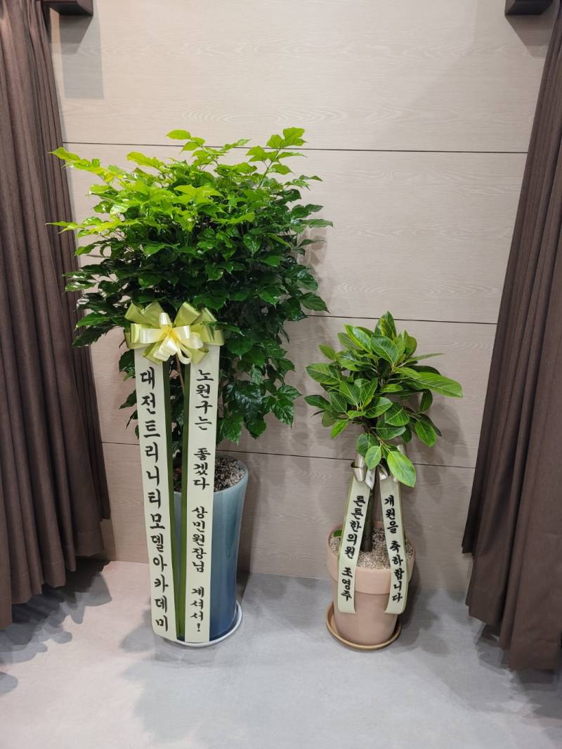 업로드 이미지