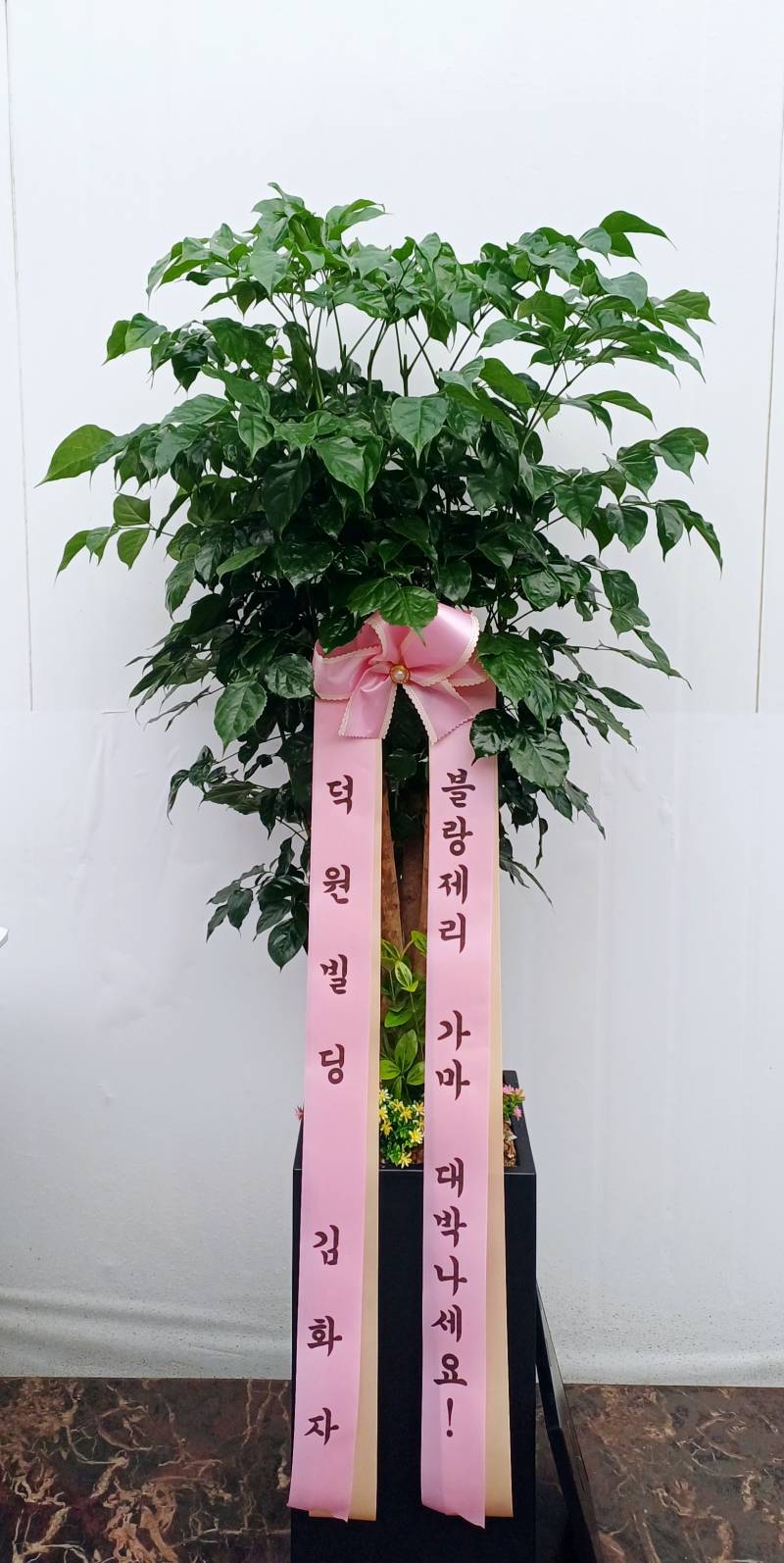 업로드 이미지