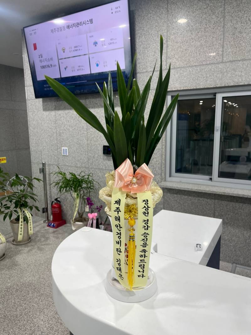 업로드 이미지