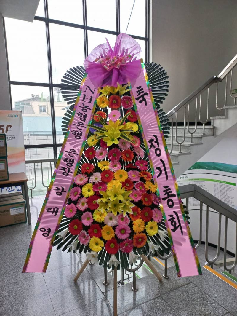 업로드 이미지