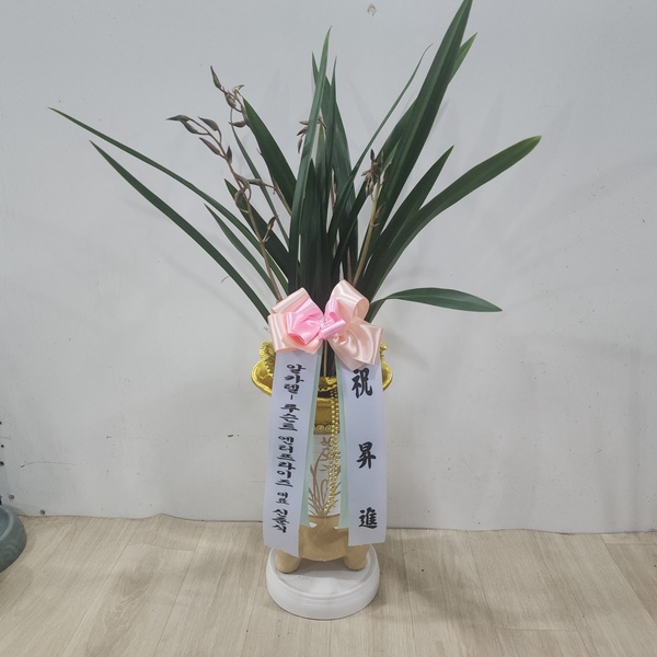업로드 이미지