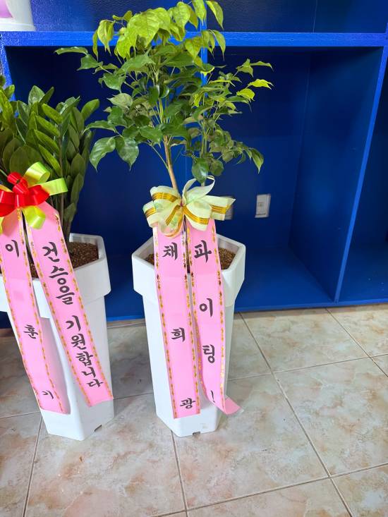 업로드 이미지