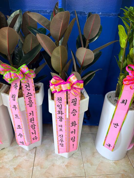 업로드 이미지