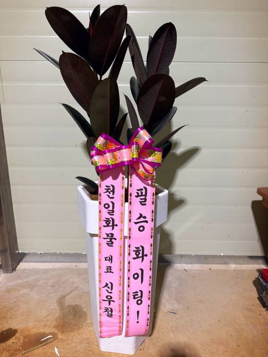 업로드 이미지