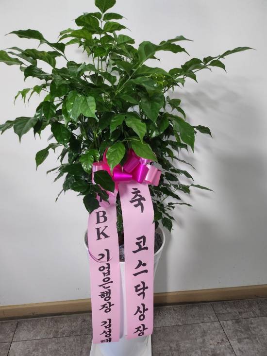 업로드 이미지