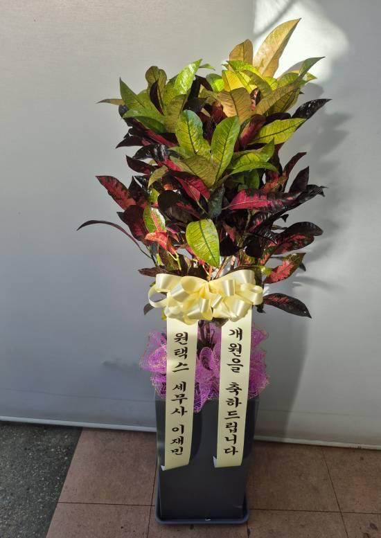 업로드 이미지