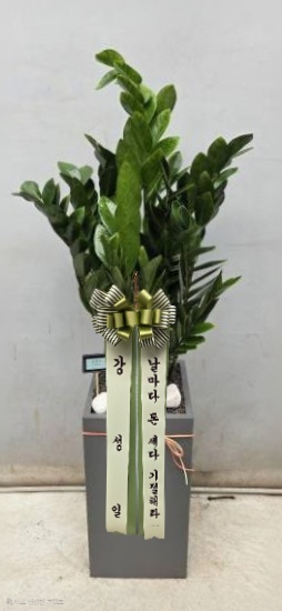 업로드 이미지