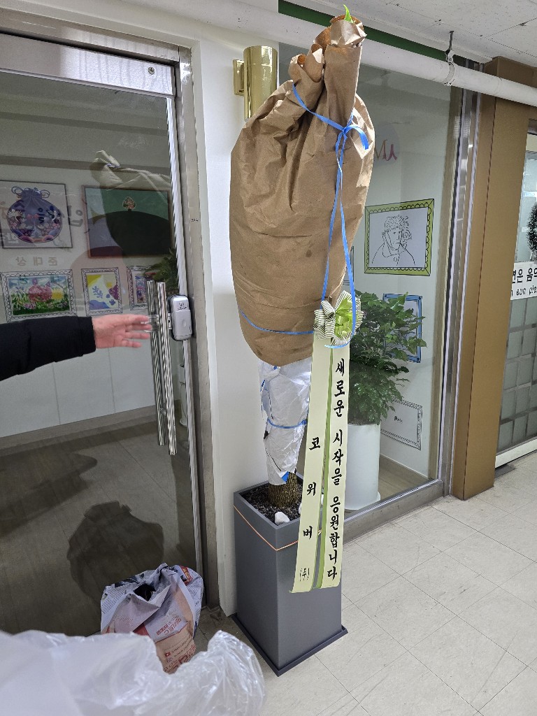 업로드 이미지