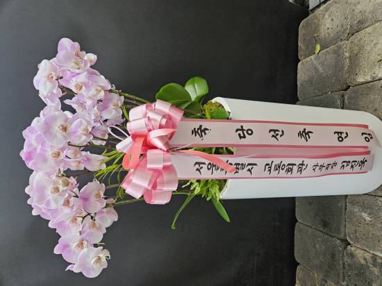 업로드 이미지