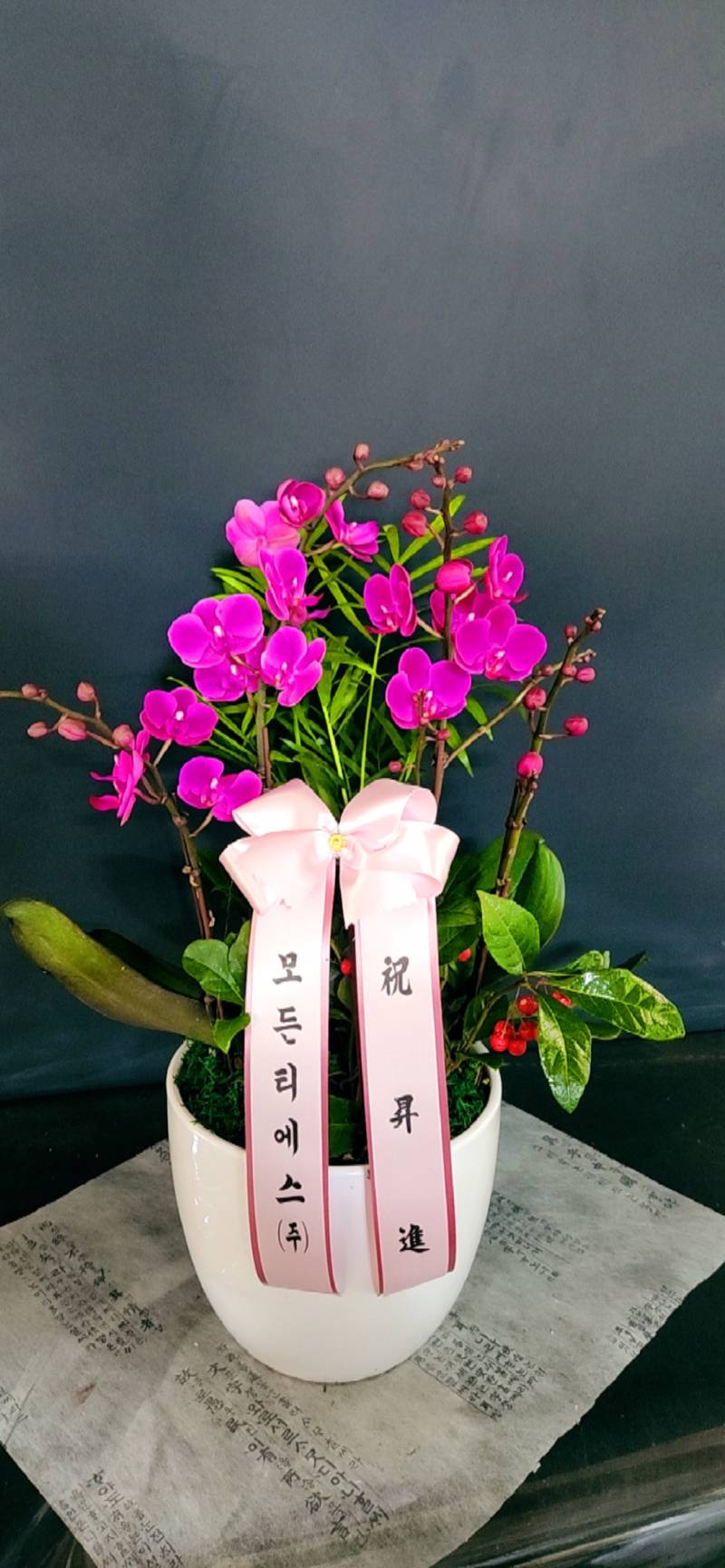 업로드 이미지