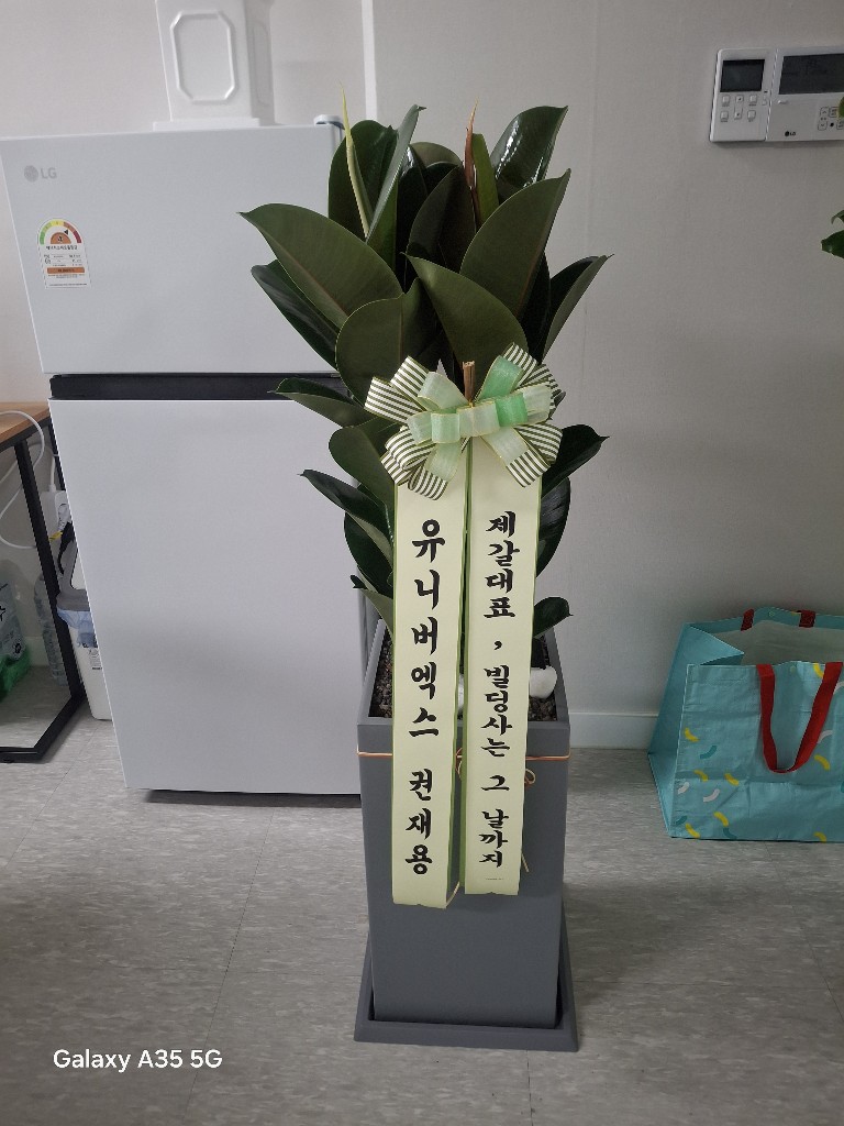 업로드 이미지