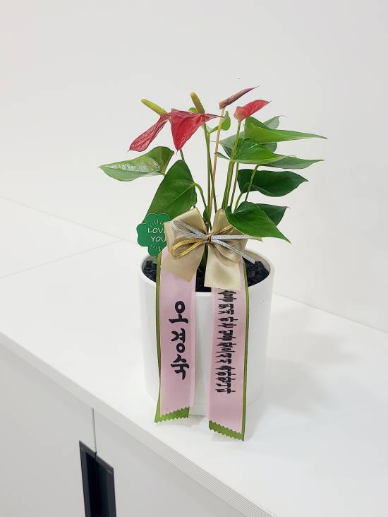 업로드 이미지