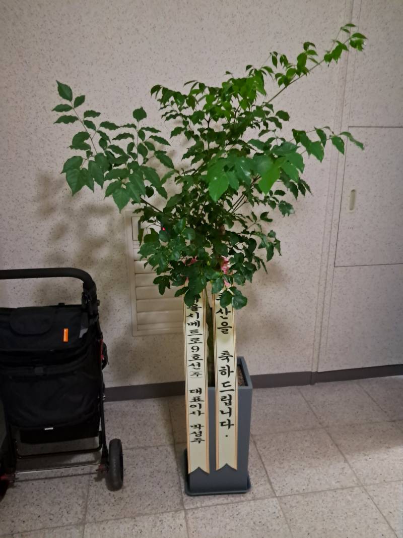 업로드 이미지