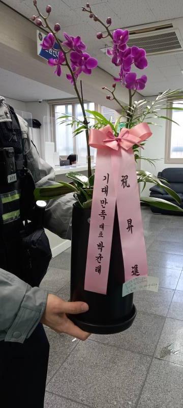 업로드 이미지