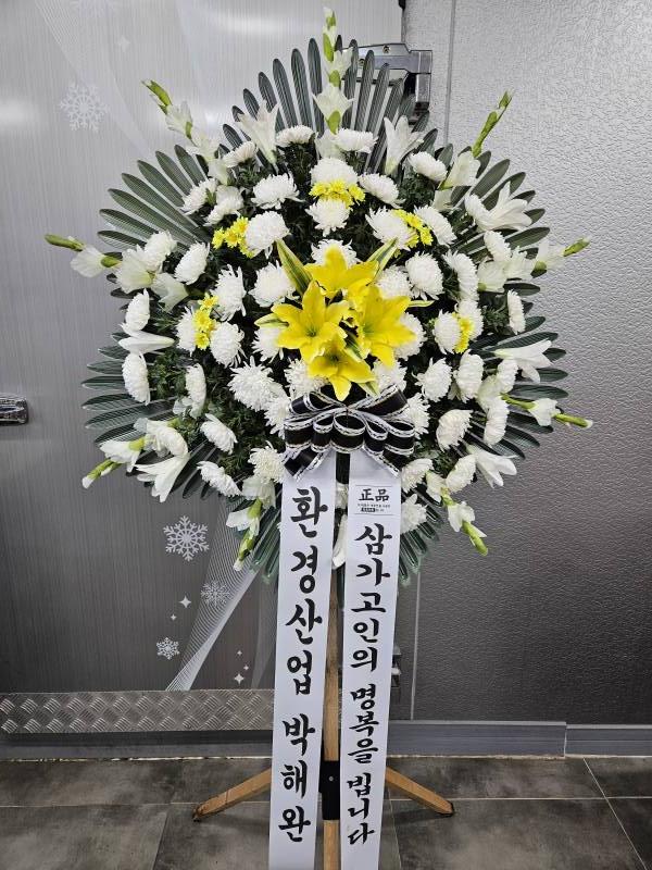 업로드 이미지