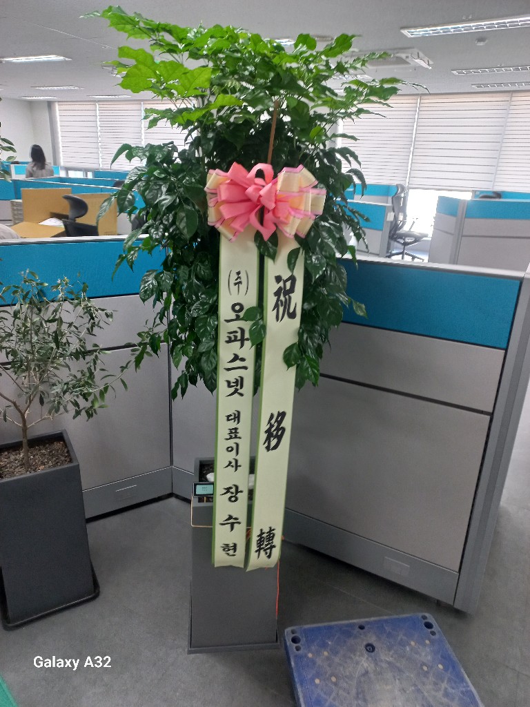 업로드 이미지