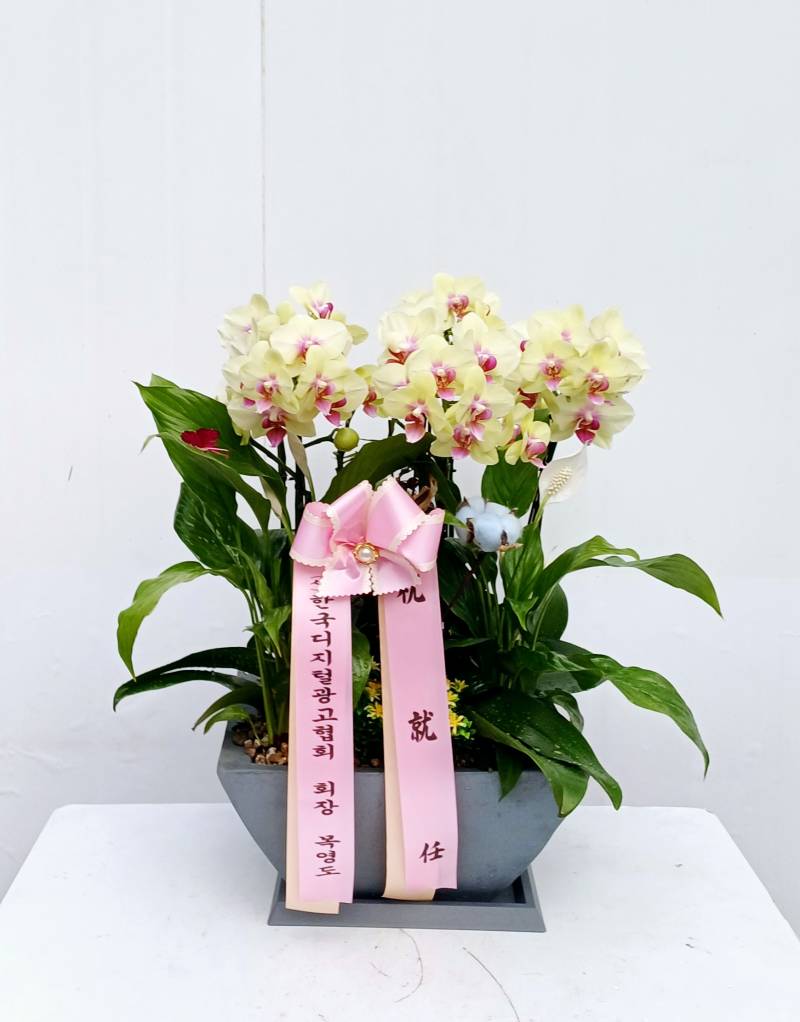 업로드 이미지