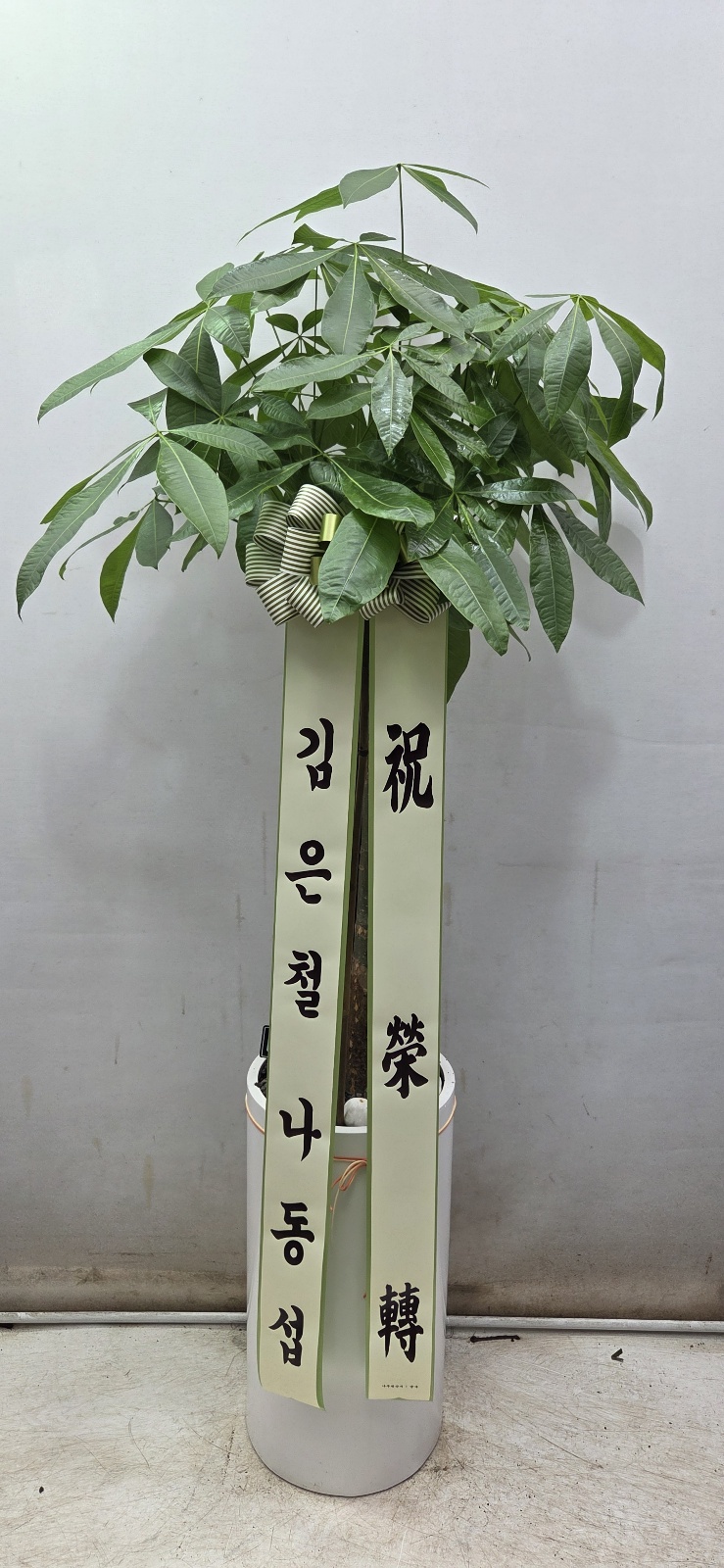 업로드 이미지