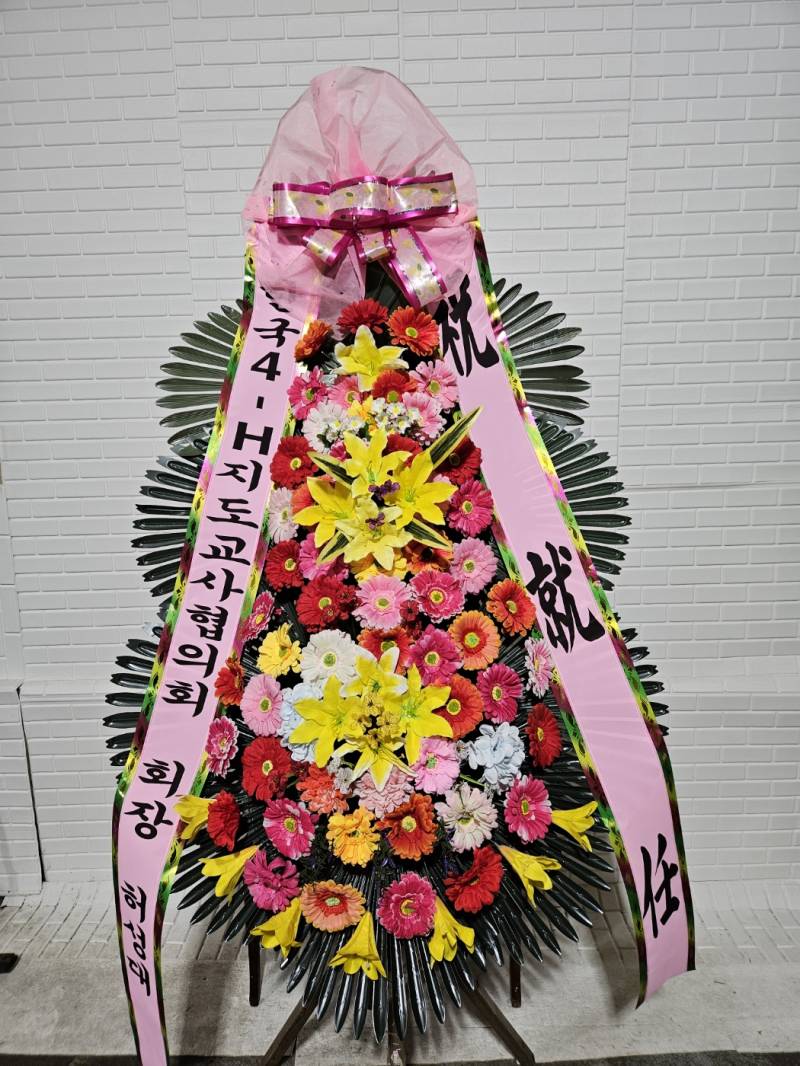 업로드 이미지
