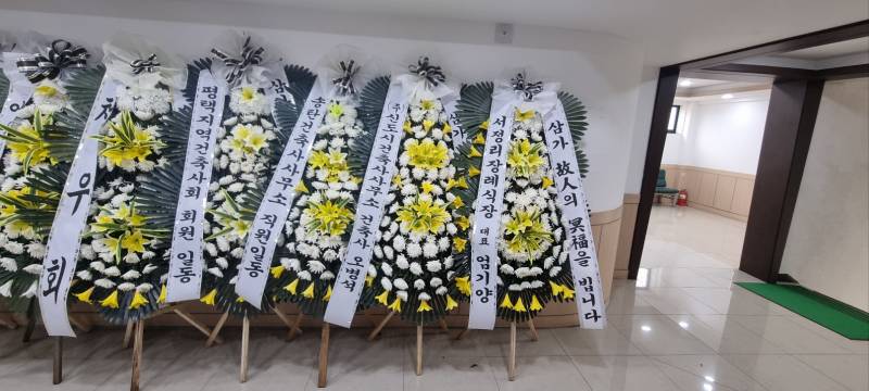 업로드 이미지