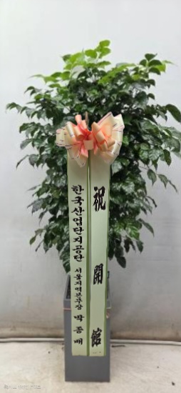 업로드 이미지