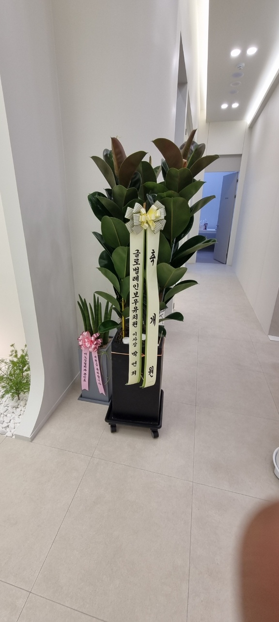 업로드 이미지