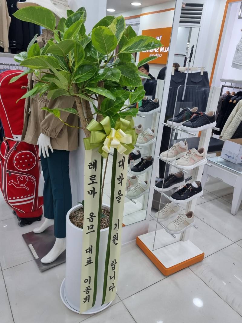 업로드 이미지