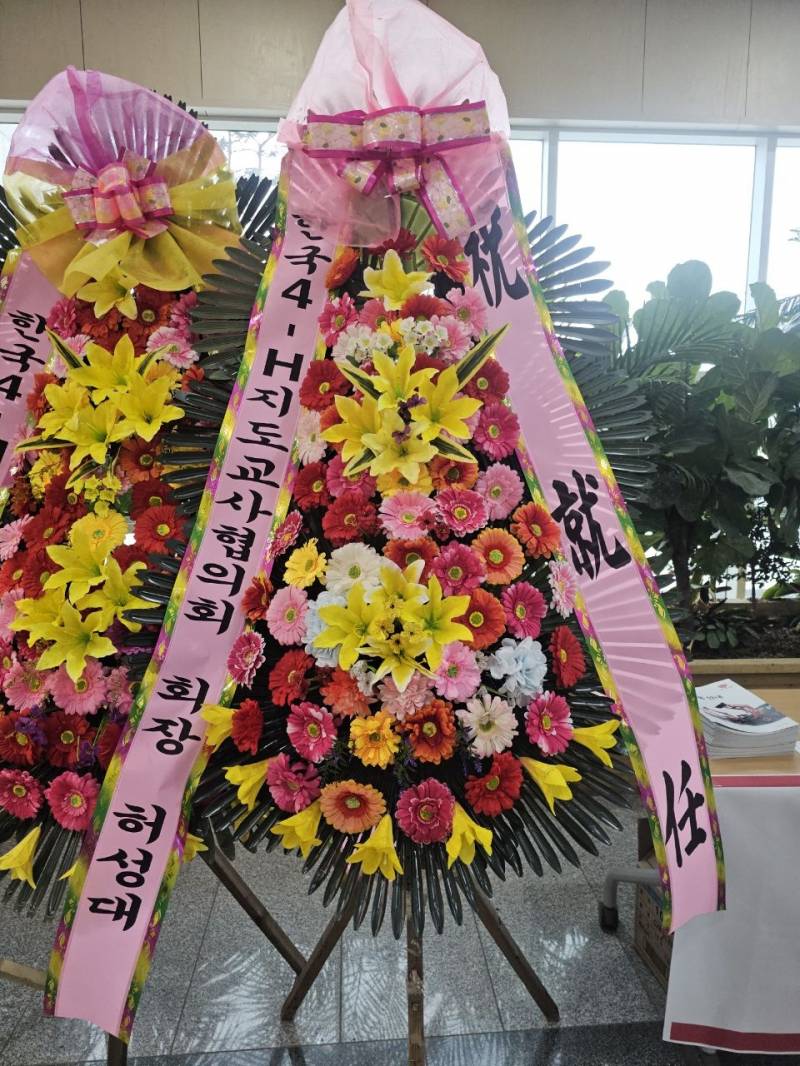 업로드 이미지