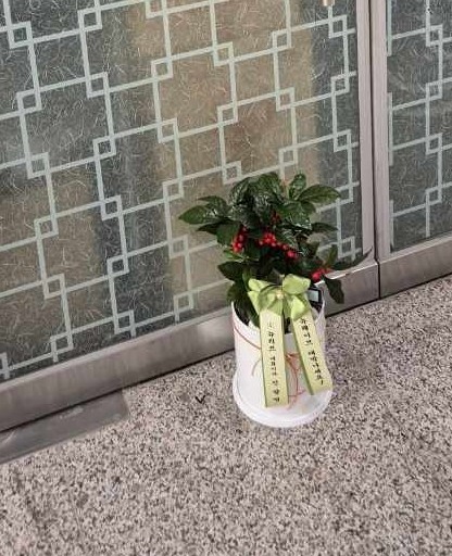 업로드 이미지